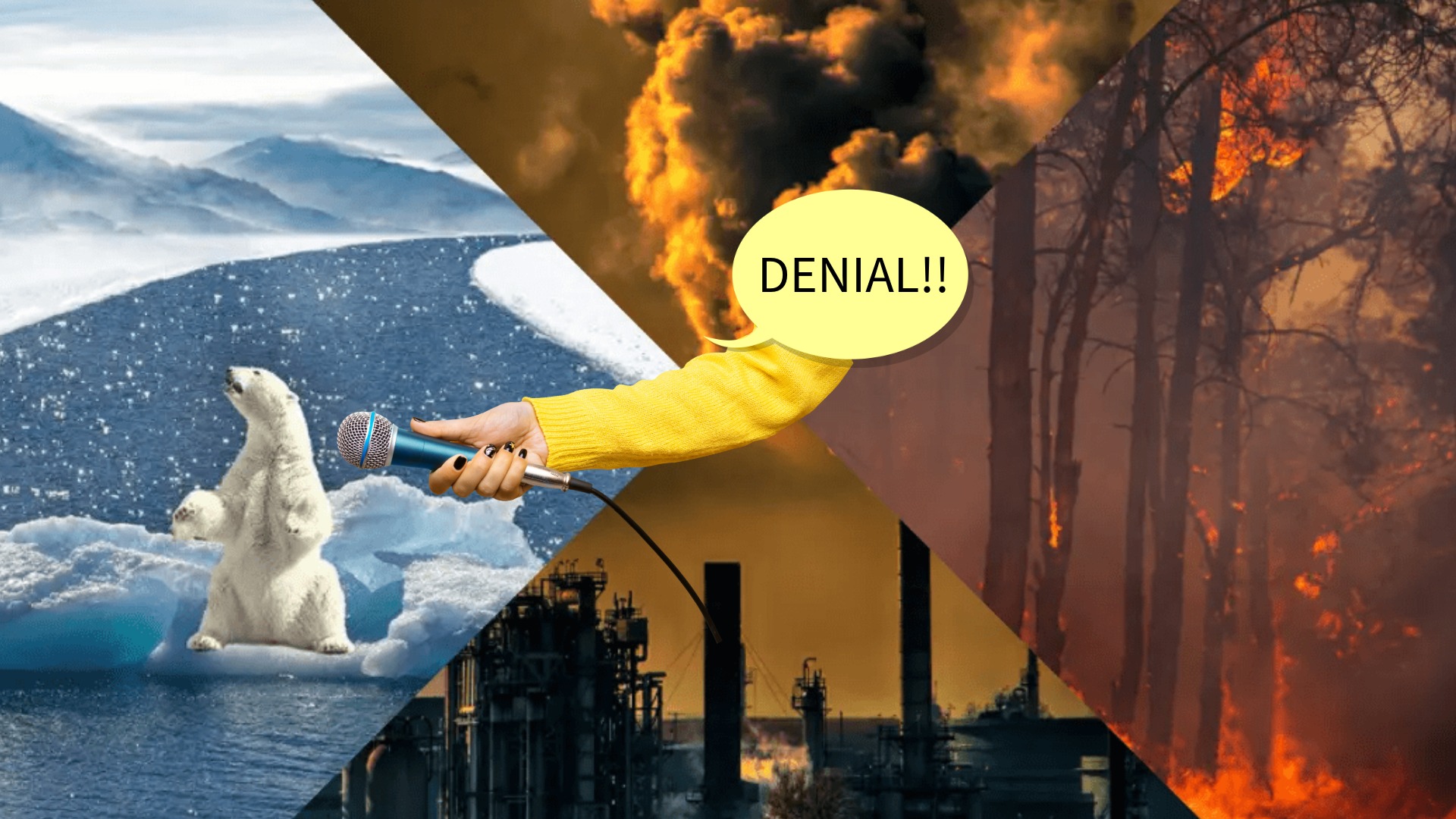 Selling Doubt: The Economics of Climate Denial