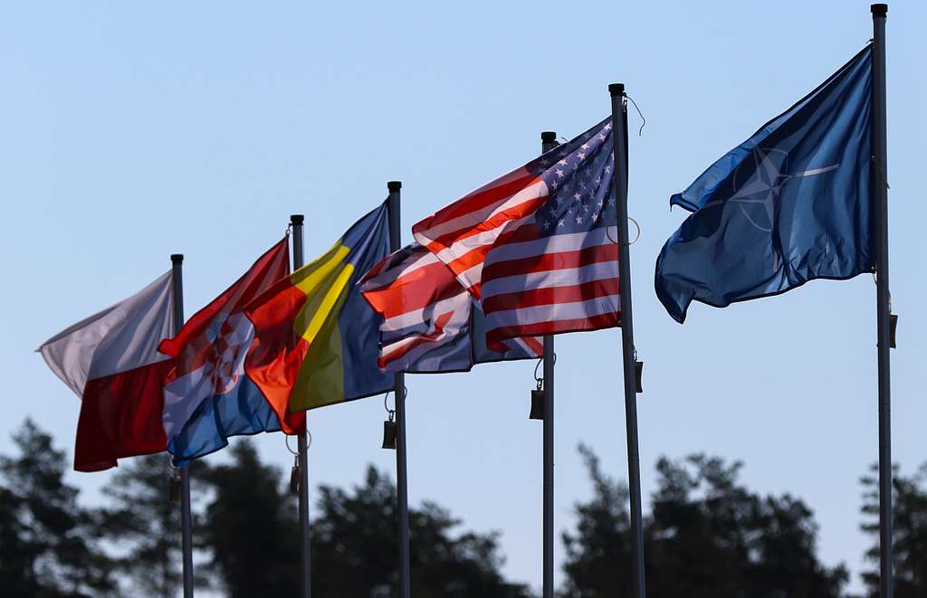 How Smaller States Survive a World on Fire