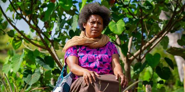 The Politics of Safety: Regulating Gender Violence in the Pacific Islands